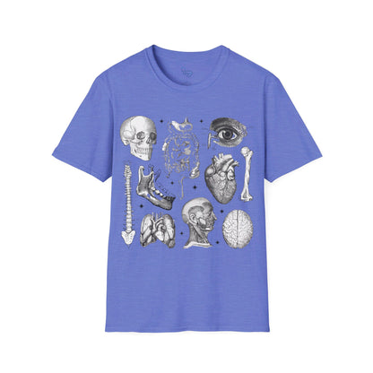 ANATOMY 101 T-SHIRT