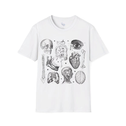 ANATOMY 101 T-SHIRT