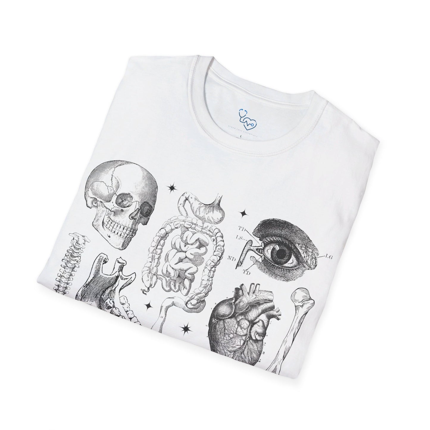 ANATOMY 101 T-SHIRT