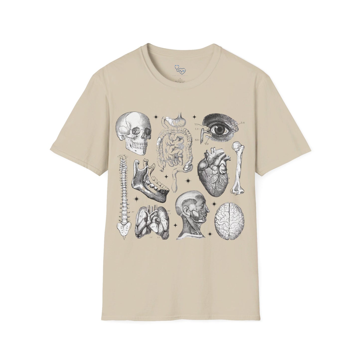 ANATOMY 101 T-SHIRT