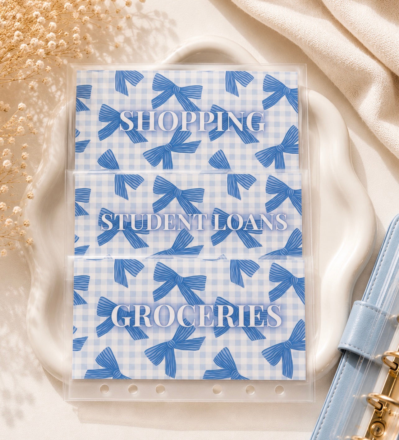 CASH ENVELOPES BLUE