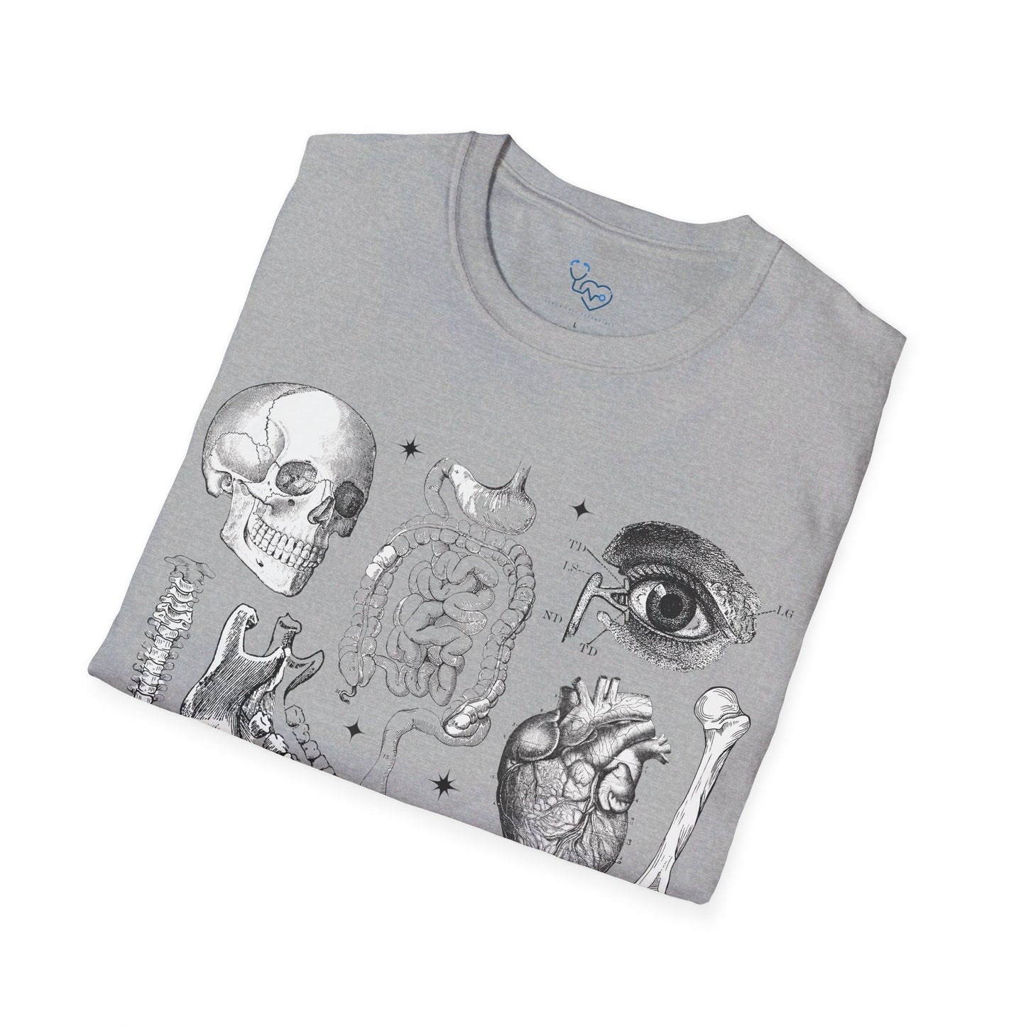 ANATOMY 101 T-SHIRT