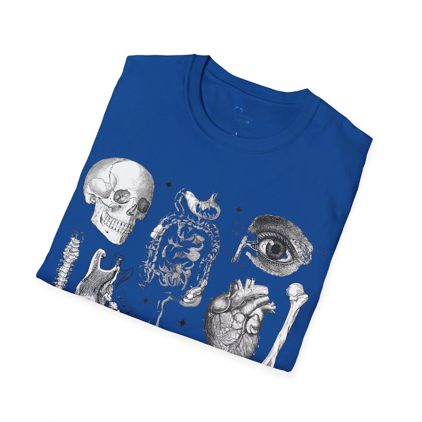 ANATOMY 101 T-SHIRT