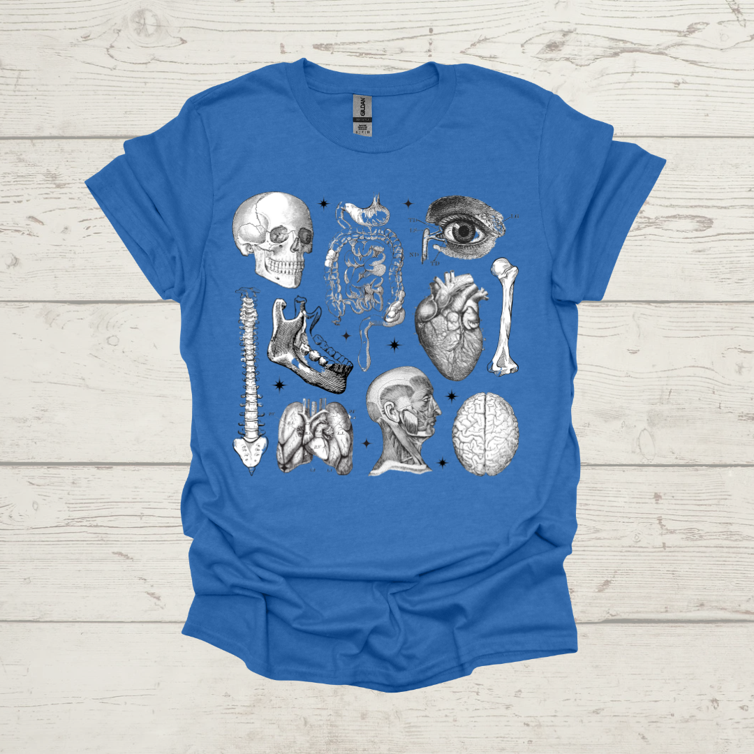 ANATOMY 101 T-SHIRT