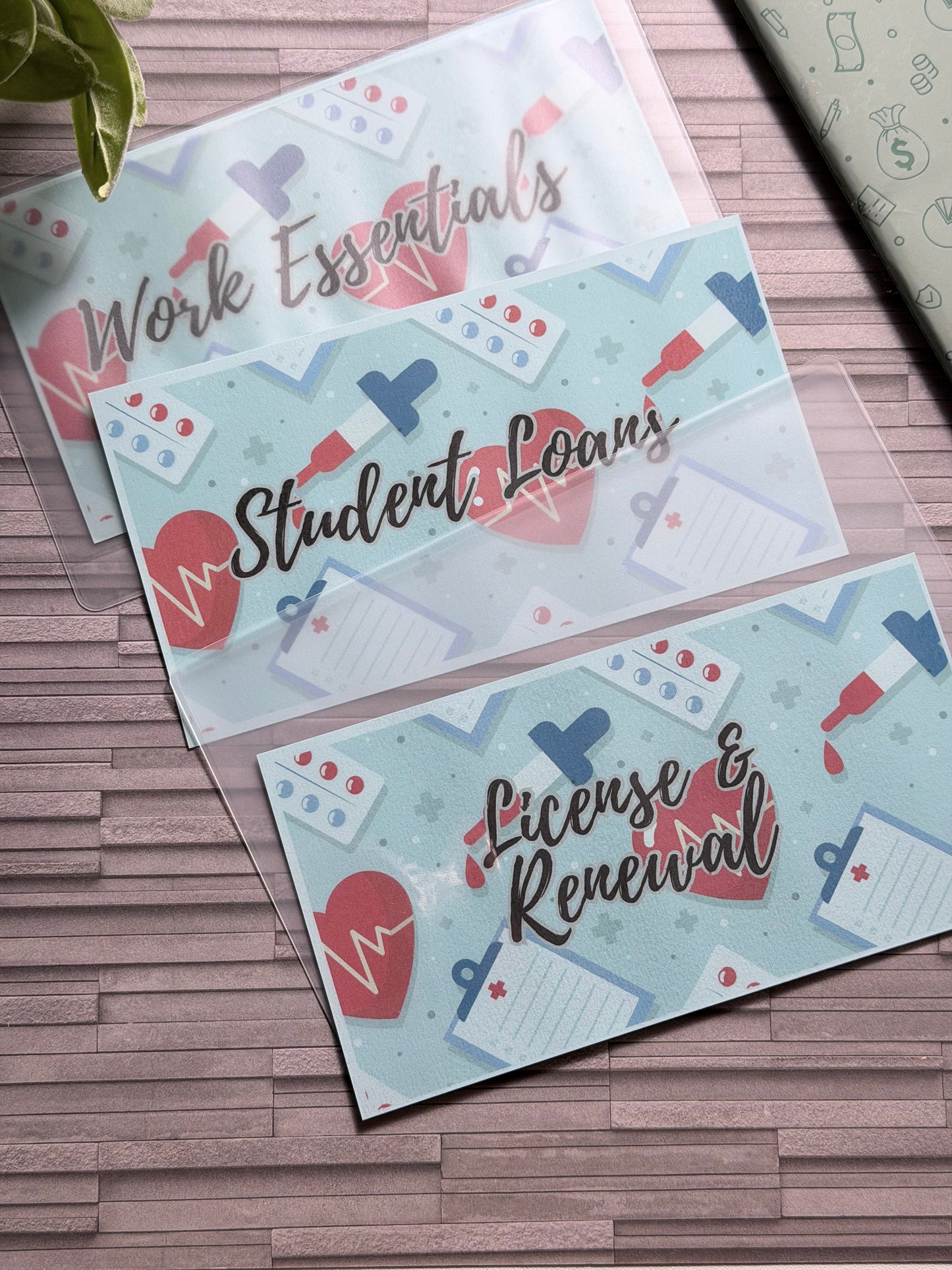 BLUE CASH STUFFING ENVELOPES